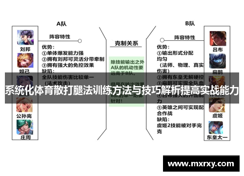 系统化体育散打腿法训练方法与技巧解析提高实战能力