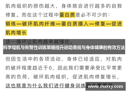 科学增肌与恢复性训练策略提升运动表现与身体健康的有效方法