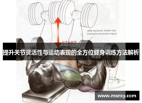 提升关节灵活性与运动表现的全方位健身训练方法解析