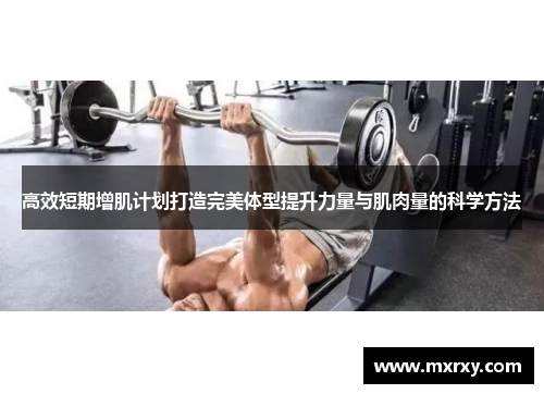 高效短期增肌计划打造完美体型提升力量与肌肉量的科学方法