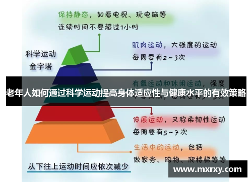 老年人如何通过科学运动提高身体适应性与健康水平的有效策略