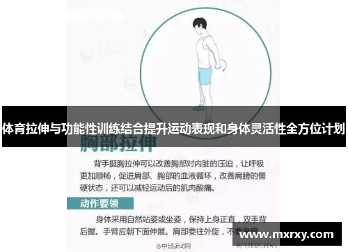 体育拉伸与功能性训练结合提升运动表现和身体灵活性全方位计划